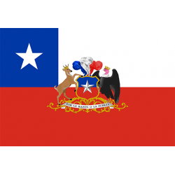 Bandera Chilena