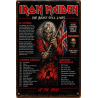 IRON MAIDEN